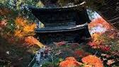 <b>Shiga</b> Prefecture Autumn 1.Joraku-ji(<b>Shiga</b>) / 常楽寺 2 ...の画像