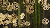 <b>Arashiyama</b> Bamboo Grove (<b>嵐山</b>竹林) #japan #kyoto #travel | TikTokの画像