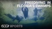 <b>Freediving</b> in the Swampy, Celestial Springs of Florida | Fanaticsの画像