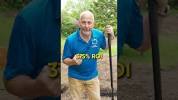 THIS Is Why I Teach Homeowners How to <b>Renovate</b>! - YouTubeの画像