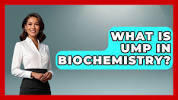 What Is <b>UMP</b> In Biochemistry? - Chemistry For Everyone - YouTubeの画像
