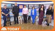2025 American Humane Society Hero <b>Dog</b> Revealed on TODAY! - YouTubeの画像