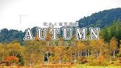 Experience the autumn scenery in <b>Shiga</b> highlands - YouTubeの画像