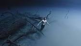 Walking at 32 Meters: Expert <b>Freediving</b> Adventures - Instagramの画像