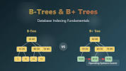 <b>B</b>-<b>Trees</b> and B+ Trees Explained: Database Indexing for Beginnersの画像