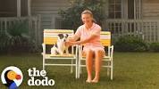 Family&#39;s <b>Dog</b> Comes Back To Visit As A Ghost | The Dodo - YouTubeの画像
