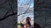 <b>SAKURA</b> /// Junko Wada #<b>sakura</b> #spring #acousticmusic - YouTubeの画像
